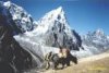To more Himalayas by Alan Ingram