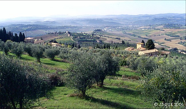 italy_tuscany_pogibonsi_olive_groves_1998_0102