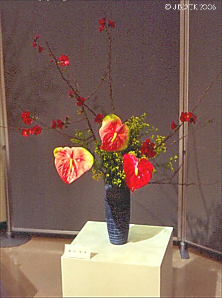 japan_hagi_flowers_04_1994_0177