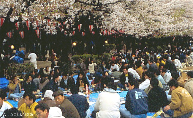 japan_tokyo_ueno_park_blossom_02_1994_0176