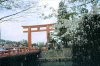 Kyoto Arch