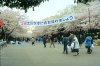 Blossom Ueno Park