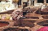 morocco_fes_leather_tannery_0096_0032_lr