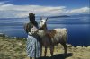 peru_lake_titicaca_sunisland_woman_llama_1997_0023_lr.jpg