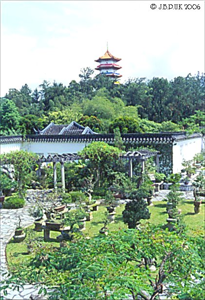 singapore_chinese_garden_bonsai_04_1999_0190