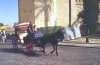 spain_cordoba_horse_carriage_1996_0026_lr
